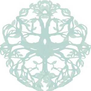 Colección MANDALAS